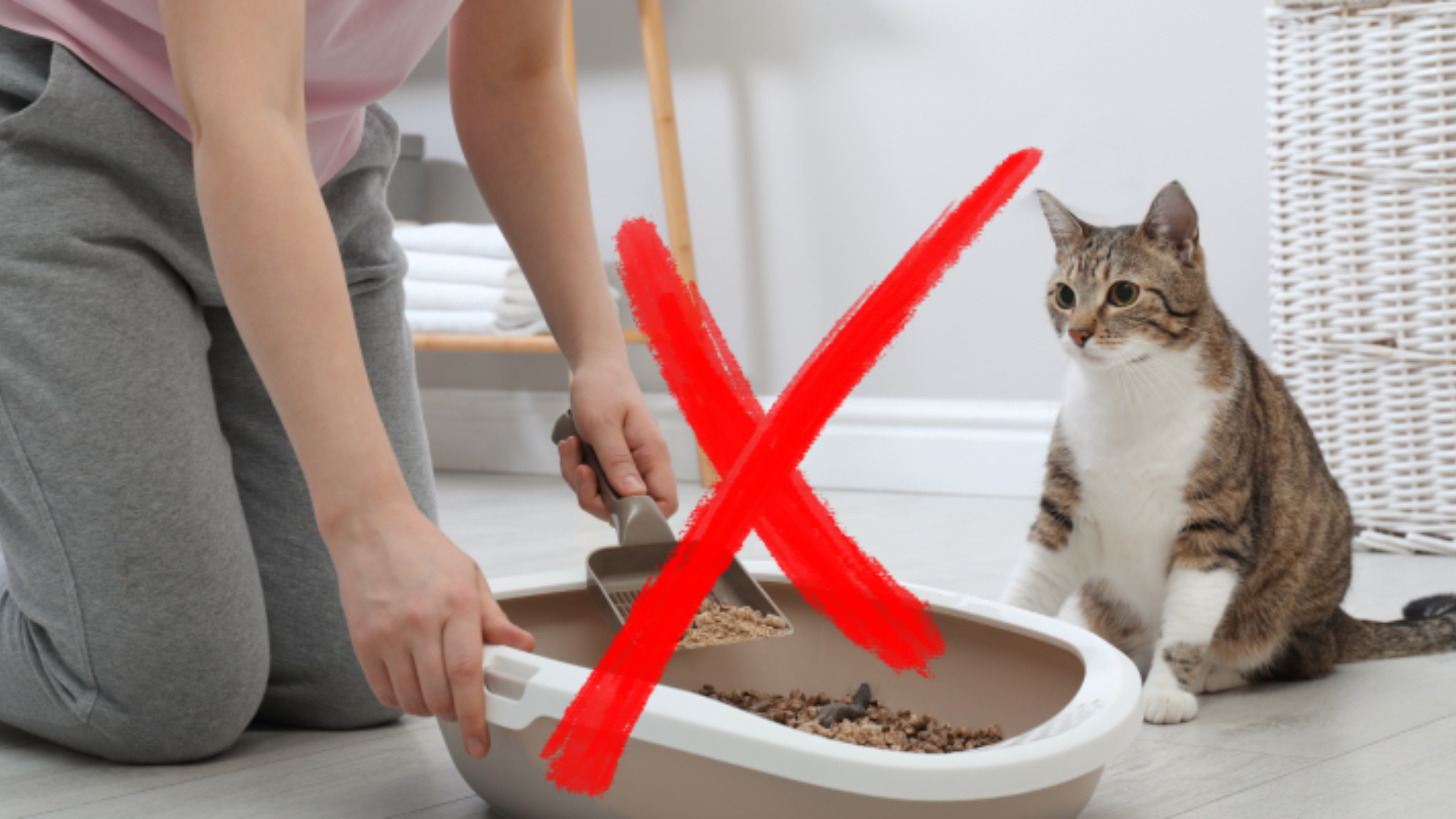 A lady emptying a cat litter box with a big red cross over it
