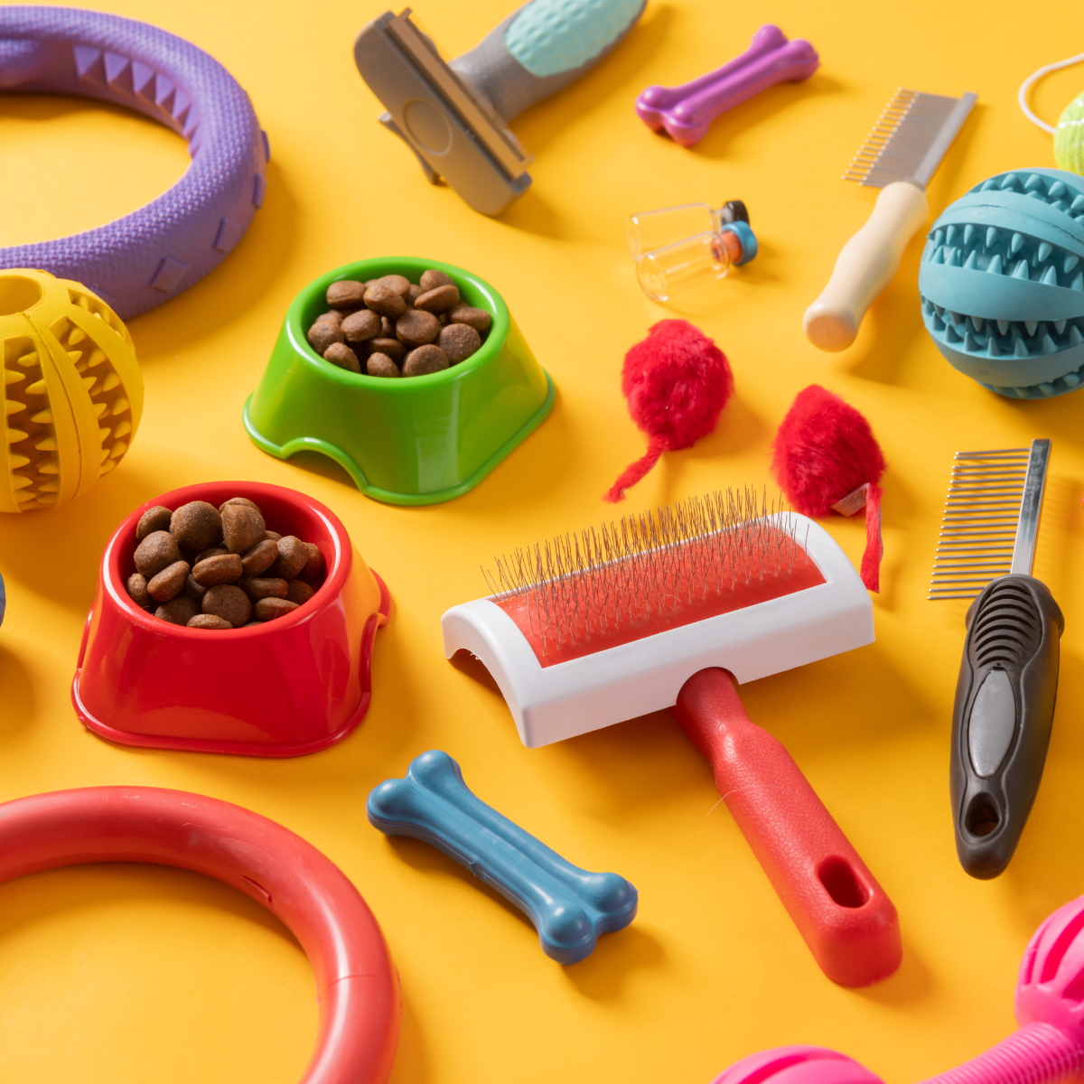 Lots of pet toys, food bowls, grooming equipment laid out