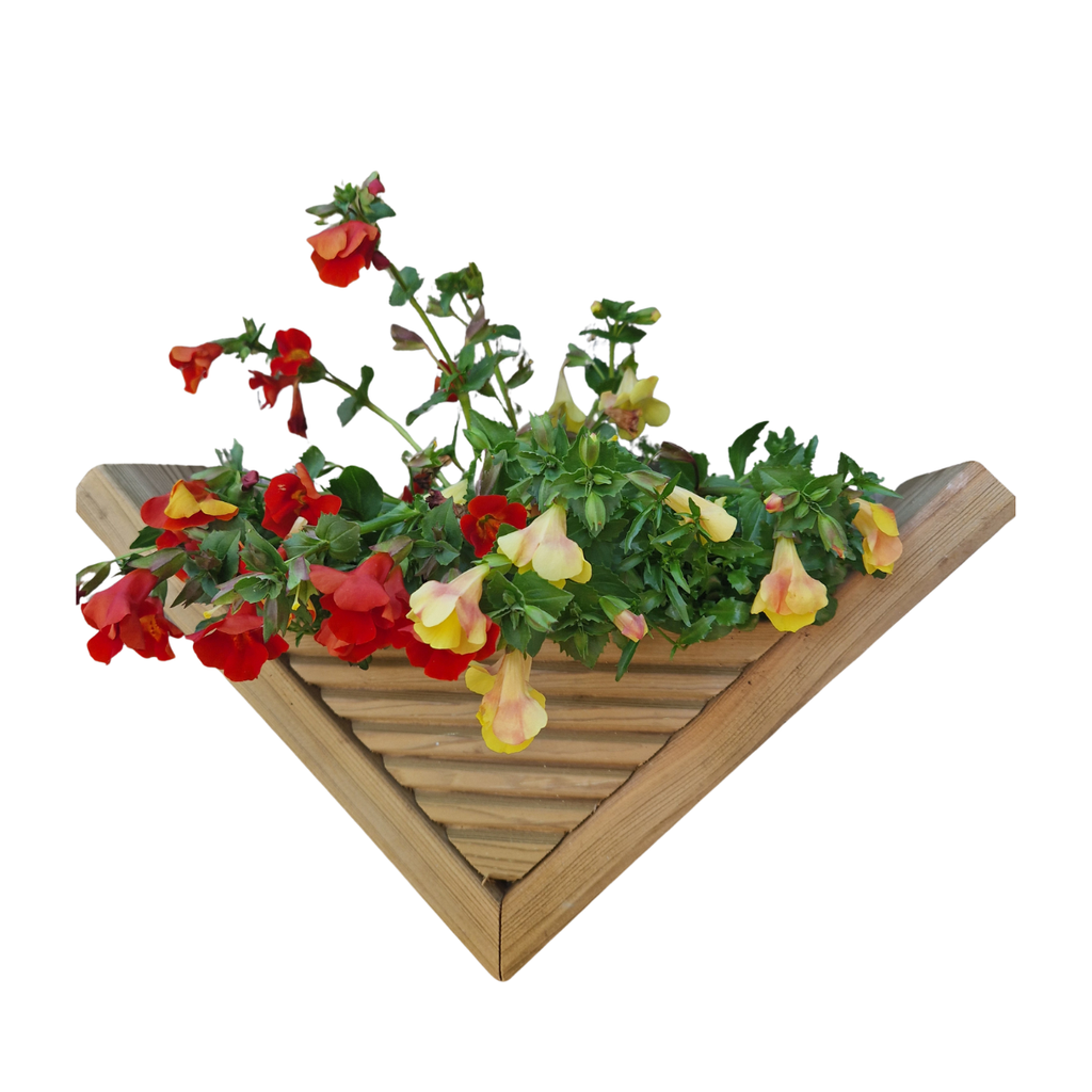 45 degree wall planter - Pillar to Post