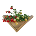 45 degree wall planter - Pillar to Post