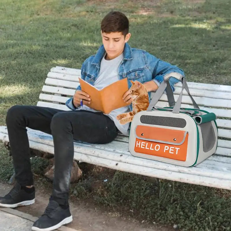 Soft Side Backpack Dog or Cat Carrier on a bench, beside a boy, with a cat in it.