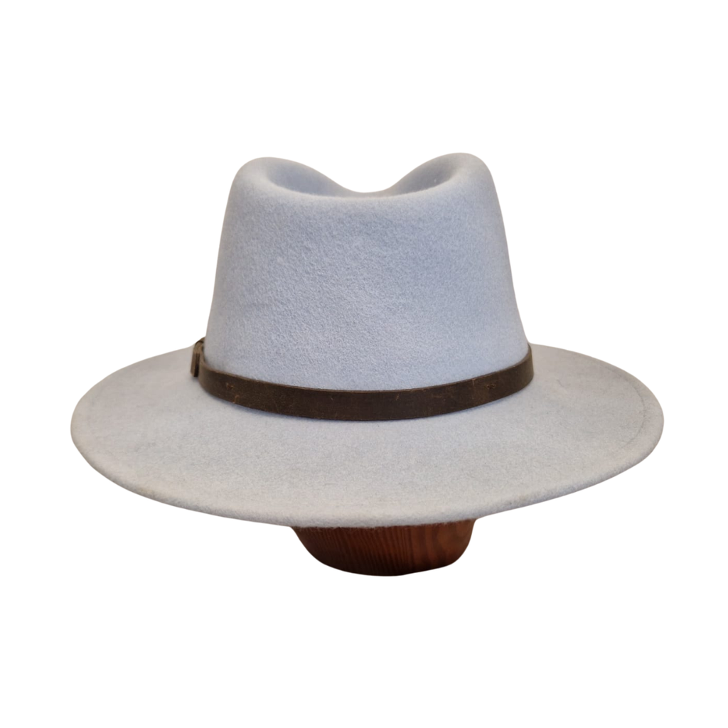 Baby Blue Fedora back