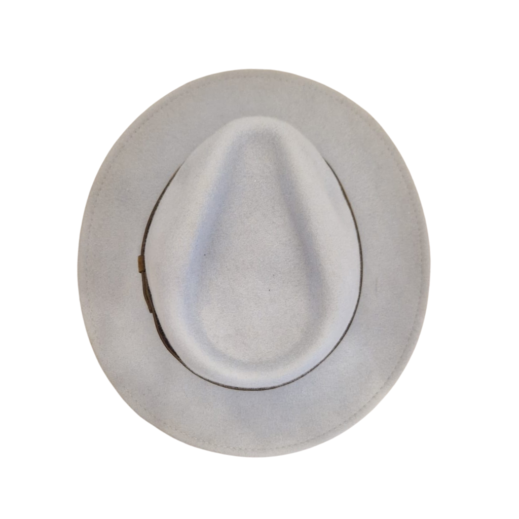Baby Blue Fedora top