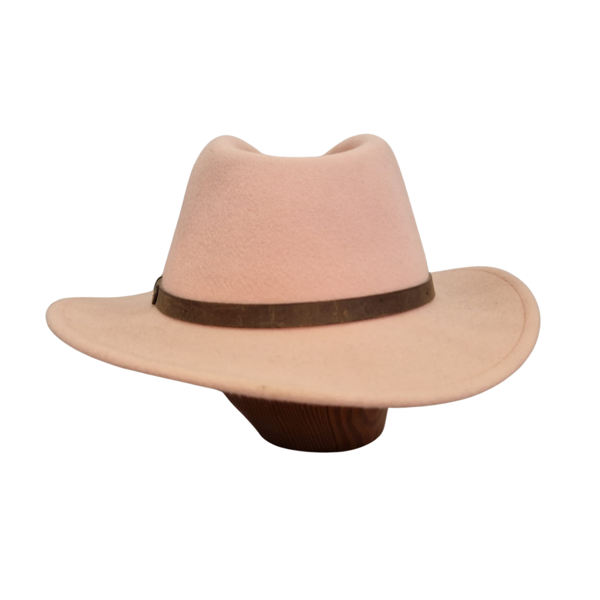 Baby Pink Fedora back