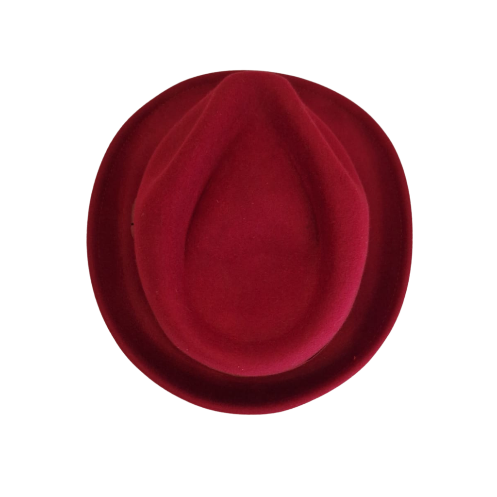 Burgundy Trilby top