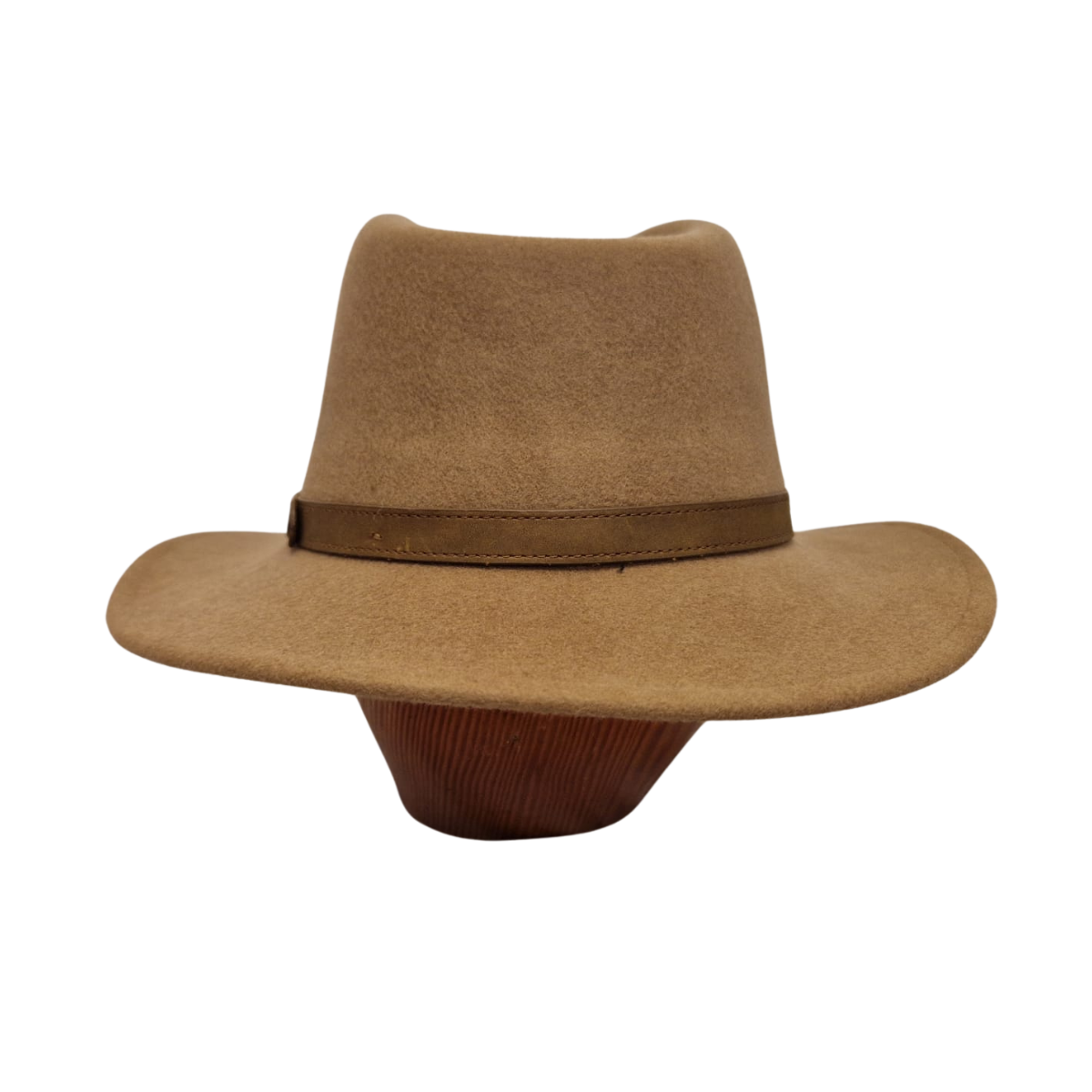 Camel Fedora back