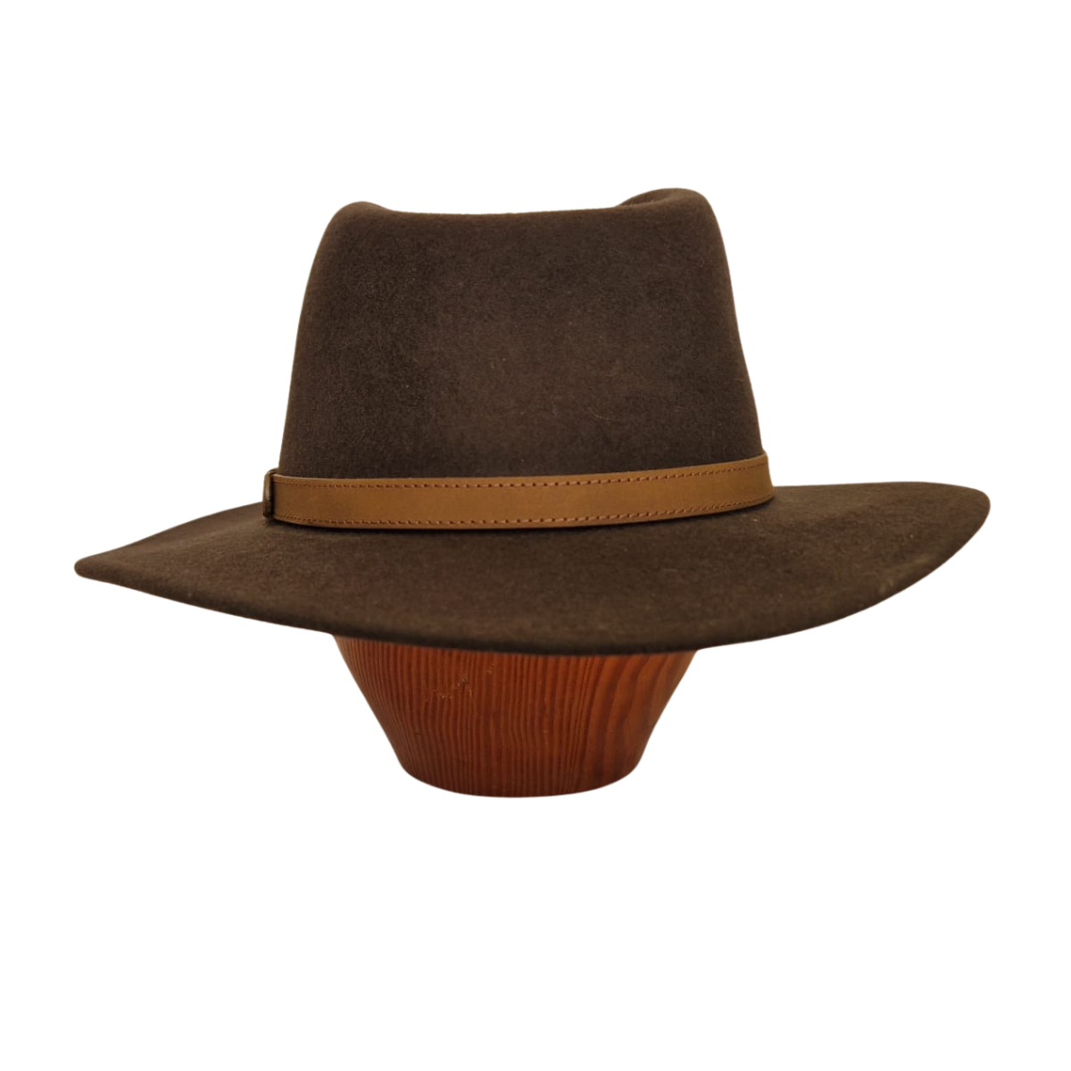 Dark Brown Fedora back