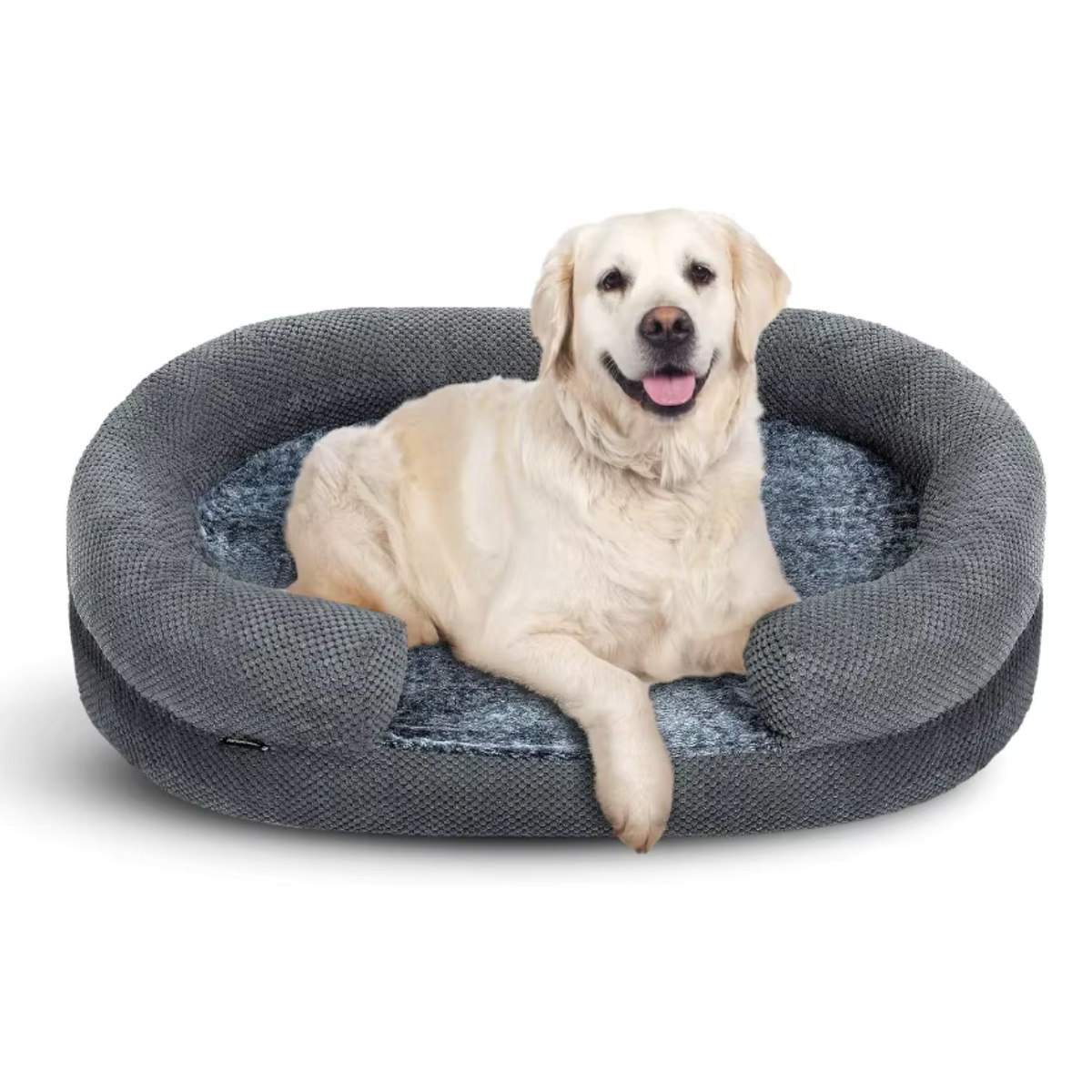 Golden retriever in an orthopedic C shaped bed in grey