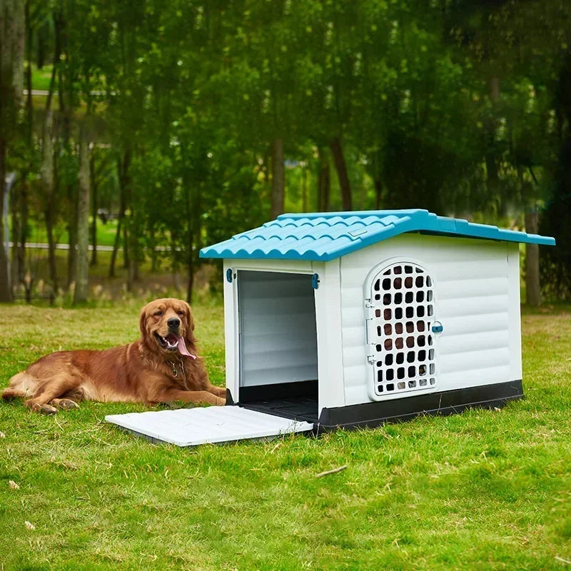 Modular dog house blue outdoors