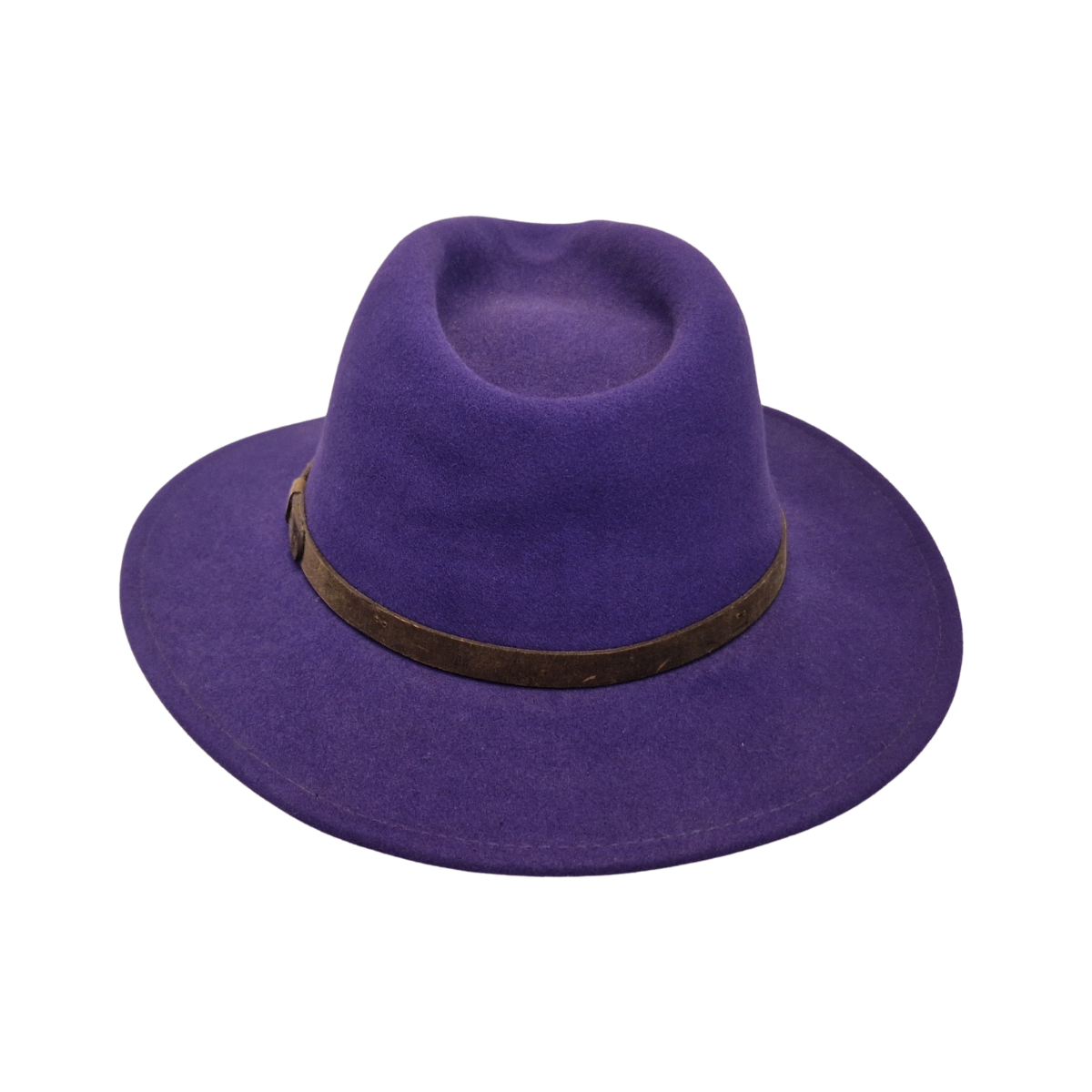 A purple felt wide-brim Fedora with a brown band around the crown, shown against a plain white background. Back