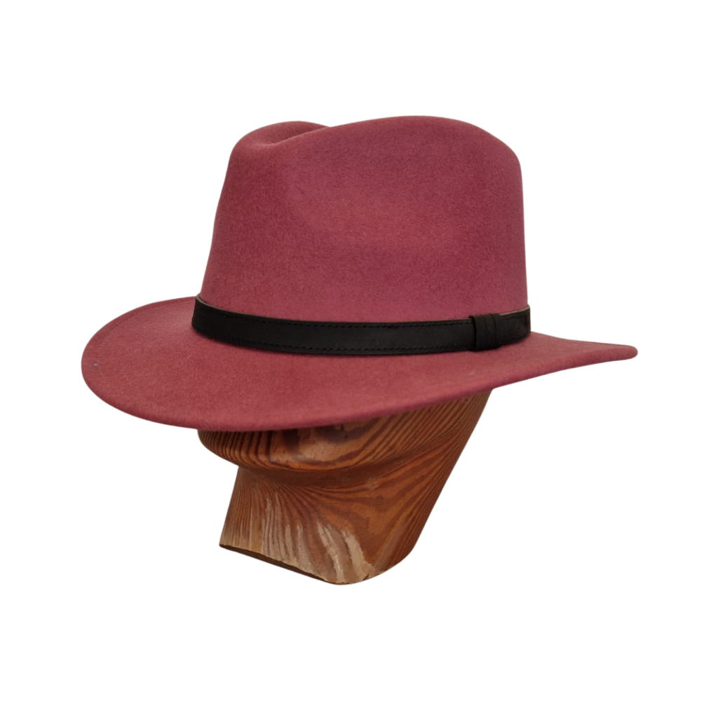 Raspberry Fedora front