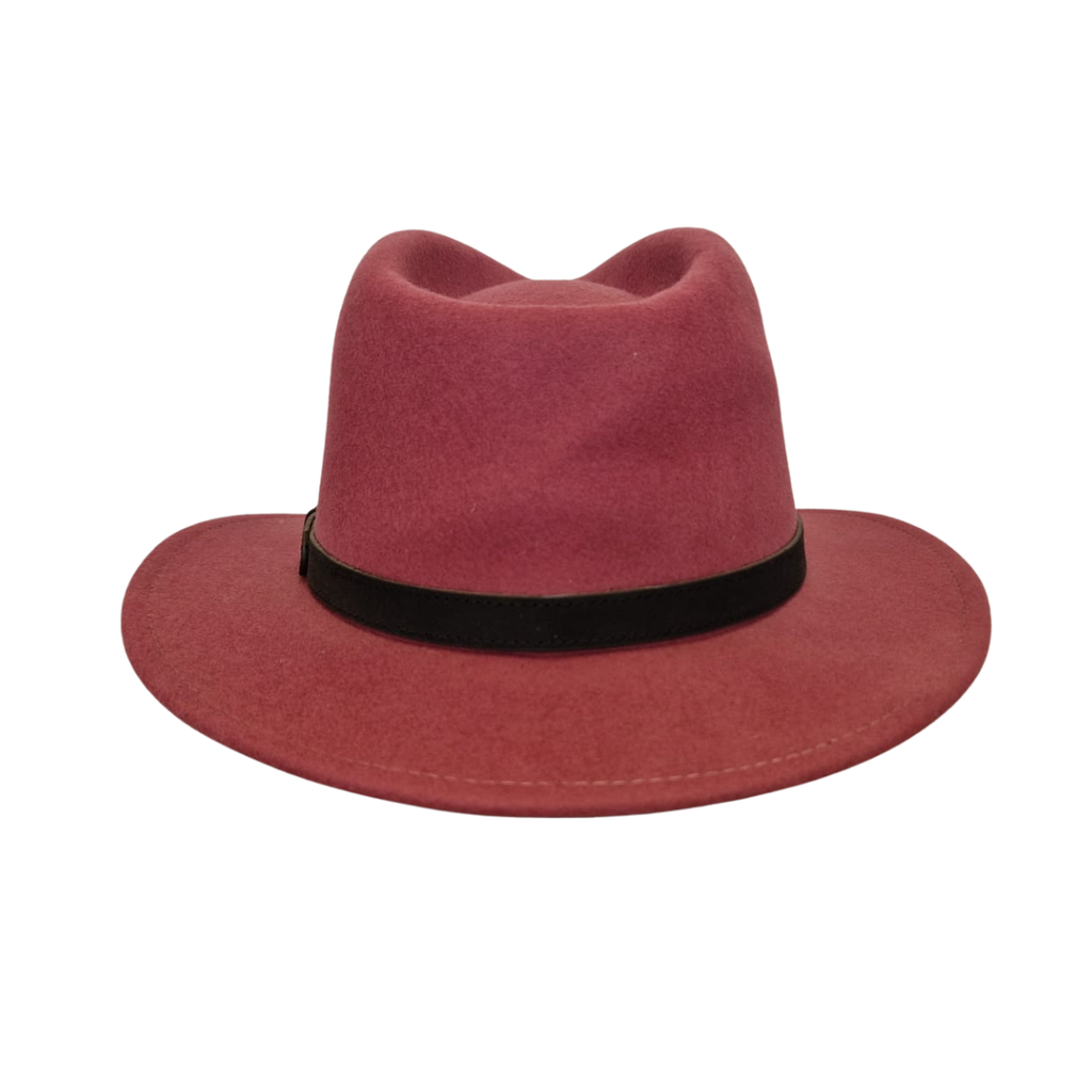 Raspberry Fedora back