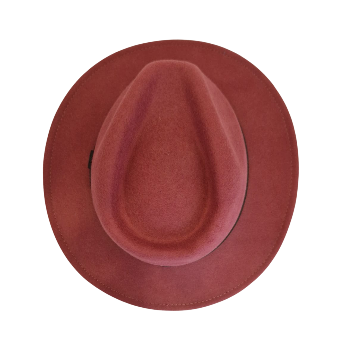 Raspberry Fedora top