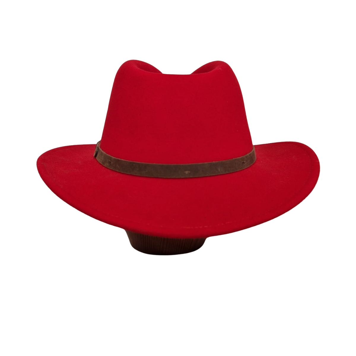 Red Fedora back