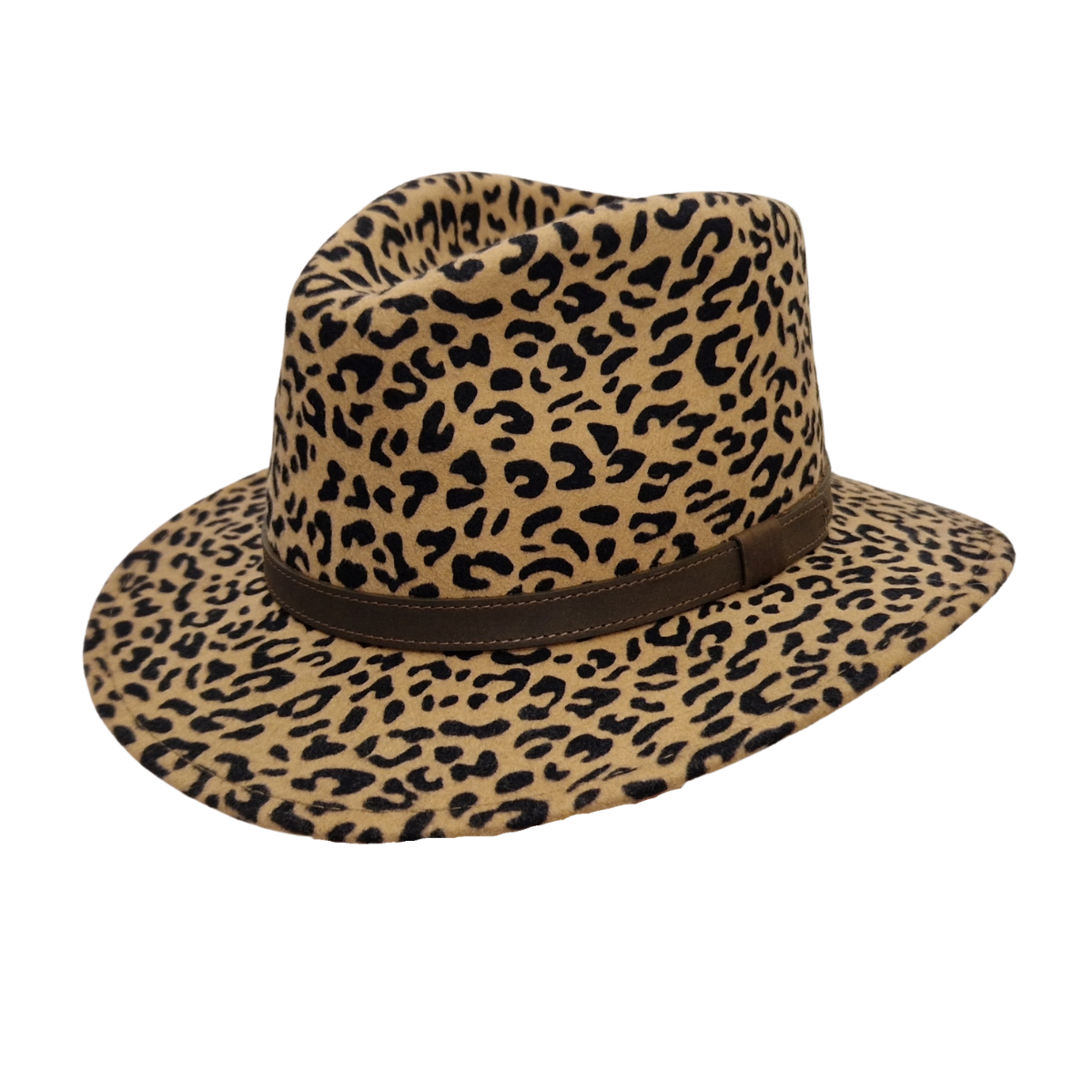 leopard print 100 percent wool fedora - front view